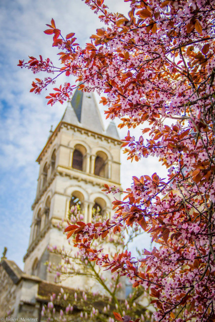 11109705-1071321726216913-7211721673462055318-o-573